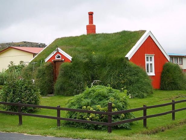 A green roof. 