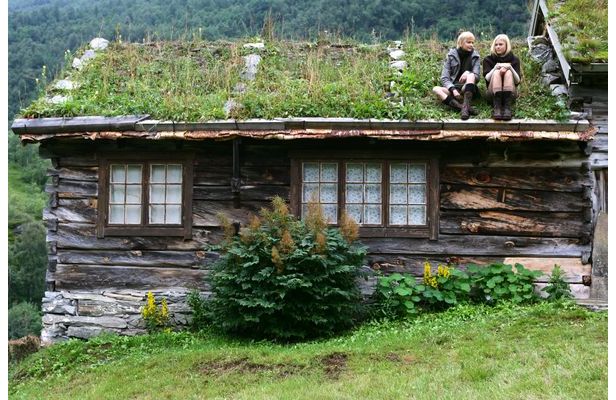 A green roof with children on top. 