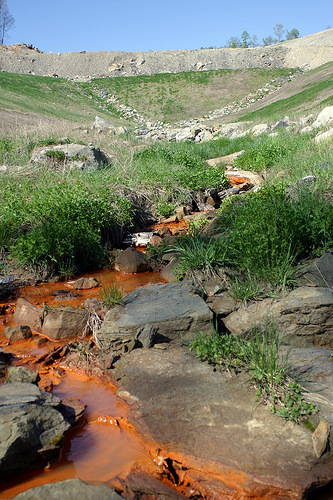 Toxic runoff from a valley fill in eastern Kentucky