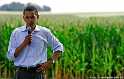 obama/corn