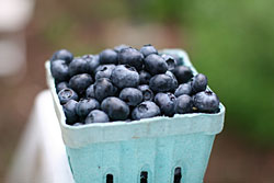 Blueberries