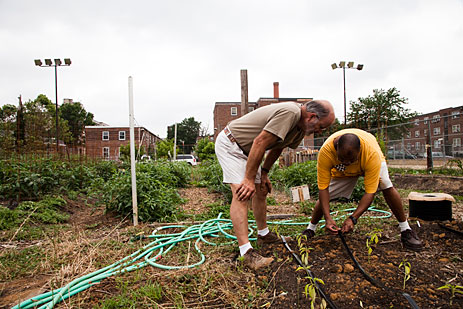 Common Good farm