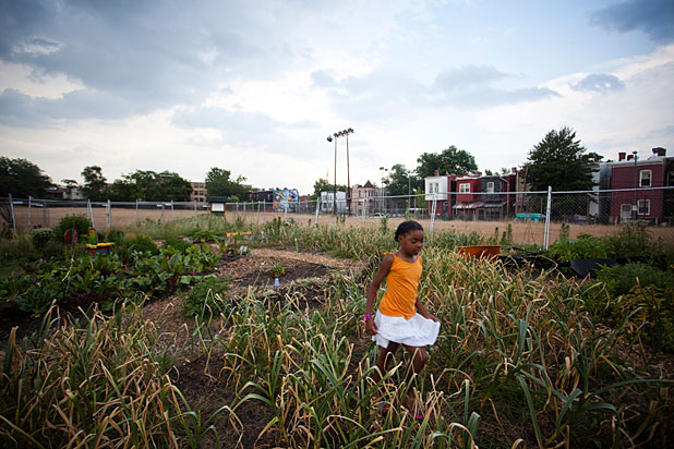 Girl running through field