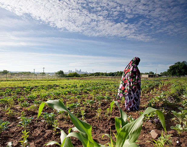 Woman in flowing gown on farm