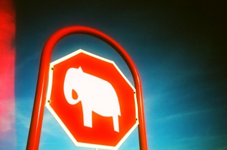 elephant stop sign