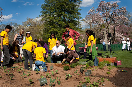 White House garden