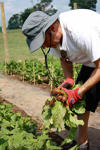 Chef Mitch Prensky harvests his beets