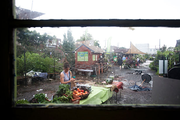 Farm market in the rain