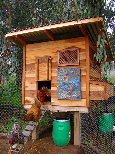 chicken coop