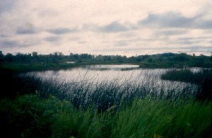 Grand Calumet River