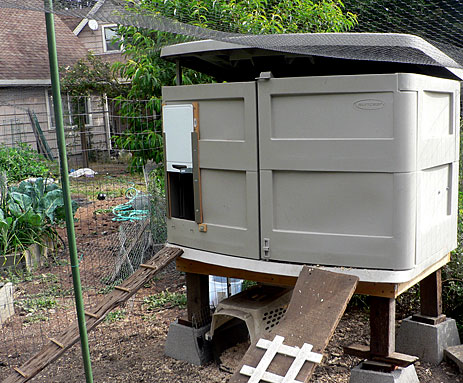 chicken coop