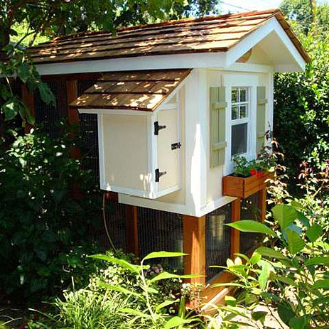 chicken coop