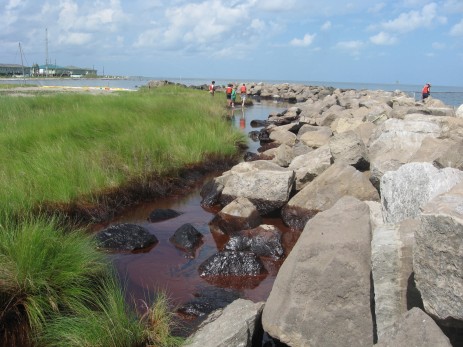 oil on coastline