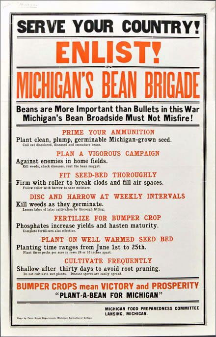 Michigan's bean brigade