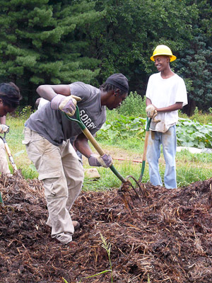 Turning compost