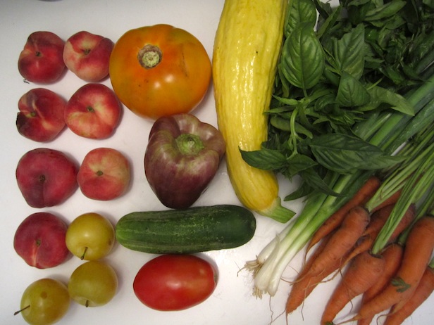 CSA bounty from week 10!