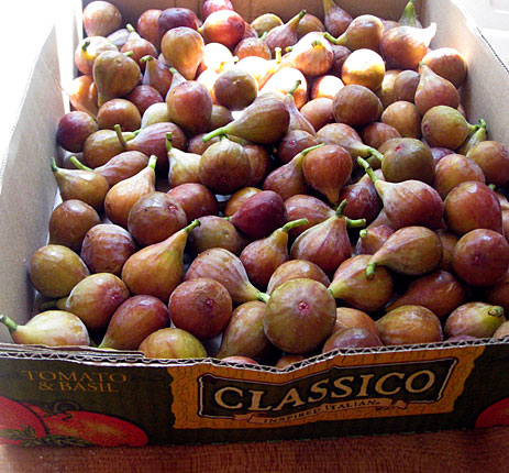 Fresh figs