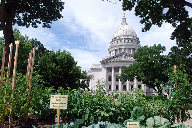 Madison city hall