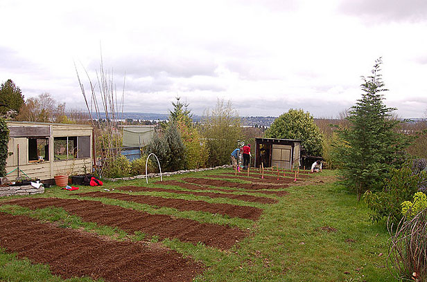 Seattle urban farm