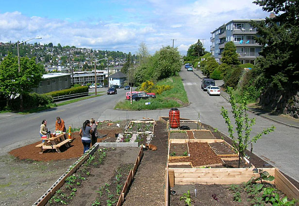 Planting a median