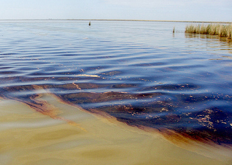 Oil in Gulf water.