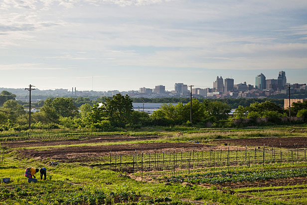 New Roots farm in Kansas