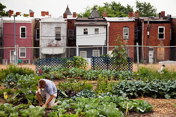 Common Good farm