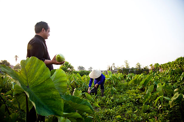 Vietnamese farmers in New
Orleans