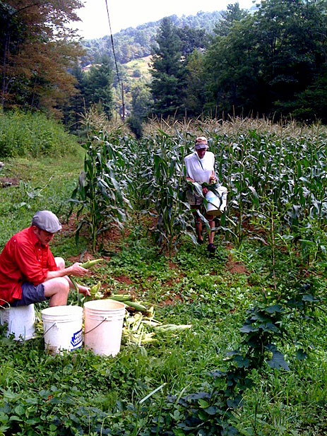 Tom Philpott husking corn