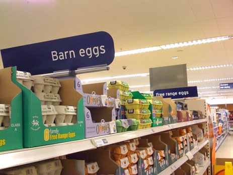 Egg aisle at grocery store