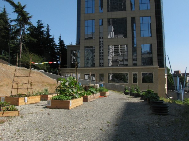 Goat Hill Giving Garden