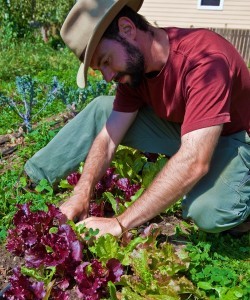 Josh Parkinson, Magic Bean Farm