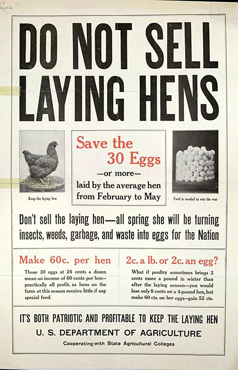 hen poster