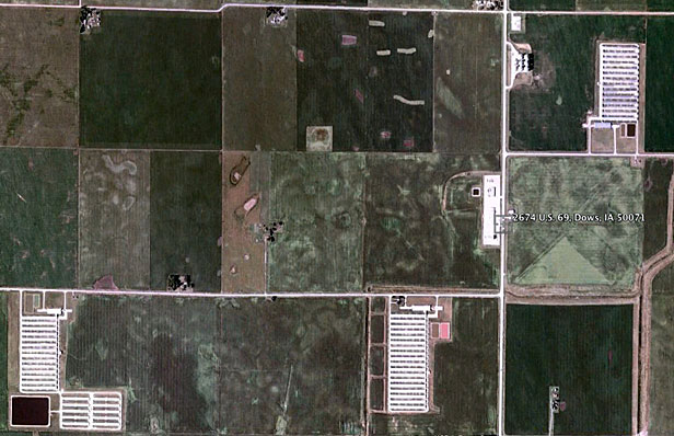 Satellite image of chicken CAFOs