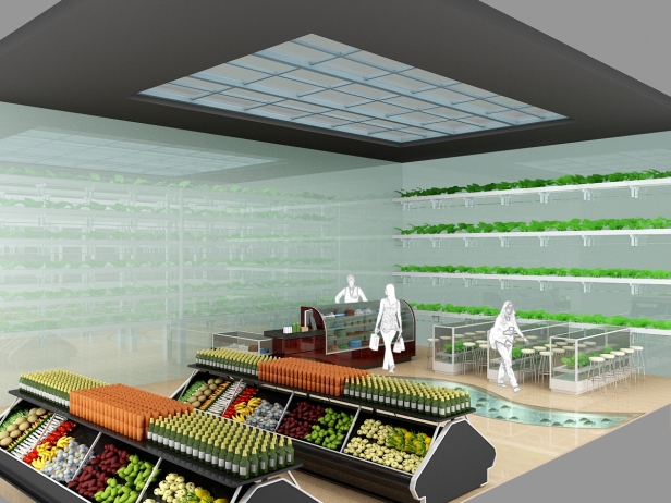 Agropolis store visualization