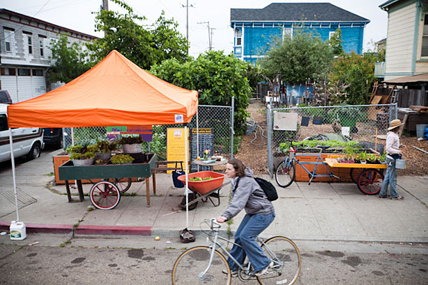 City Slicker Farm in Oakland