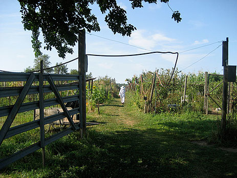 Farm gate