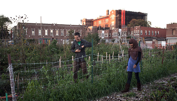 Urban farm in NYC