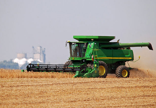 Soybean harvest