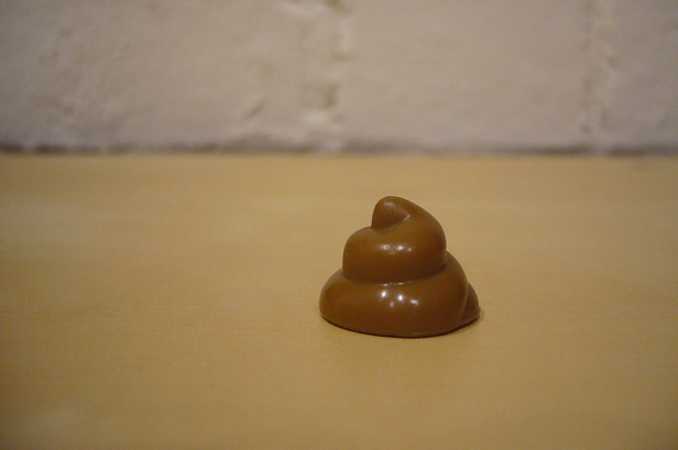 toy poop