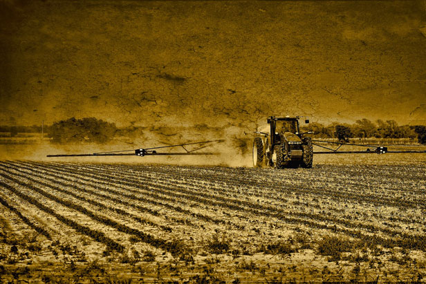 Tractor spraying fields