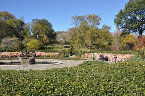 Conservatory garden