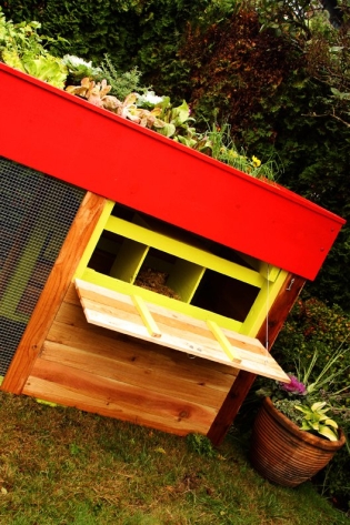 Kippen House garden chicken coop