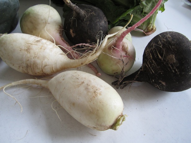 turnips!