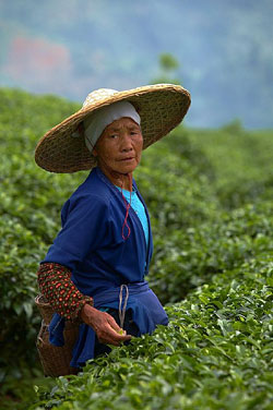 Chinese farmer