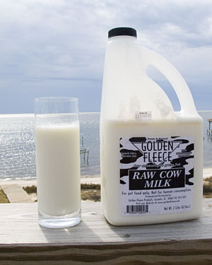 Raw milk jug