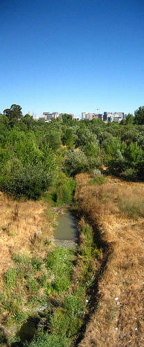 Guadalupe River