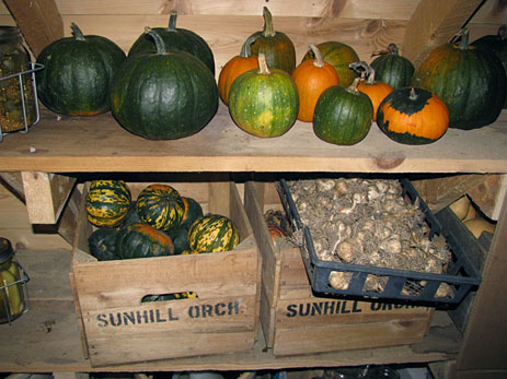 Squash on shelves