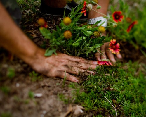 Planting hands.