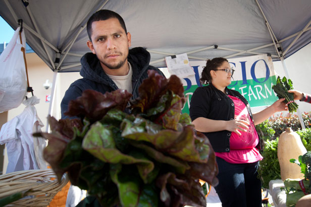 Farmer with chard